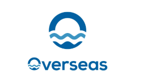 IT Services Overseas