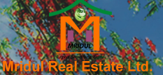 Mridul Real Estate Ltd.